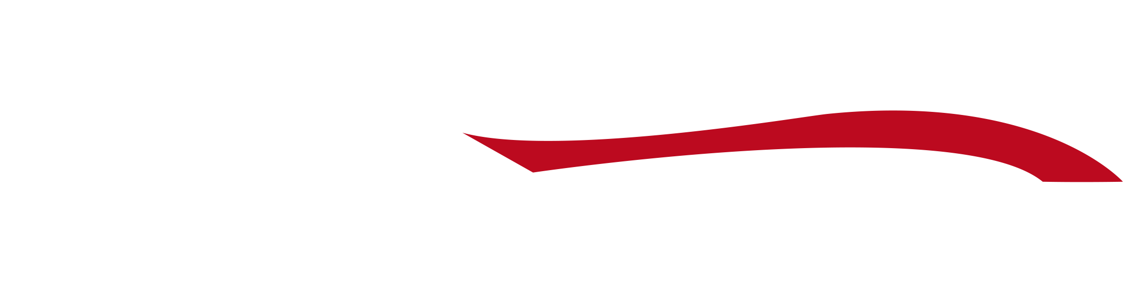 Siena Motors logo